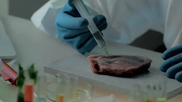 Una persona con guantes azules y bata blanca inyecta con una jeringa un filete de carne sobre una mesa de laboratorio