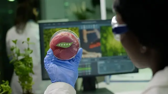 Investigadora con gafas protectoras y guante azul sostiene una placa de Petri con carne rotulada «vegan», frente a una pantalla en un laboratorio