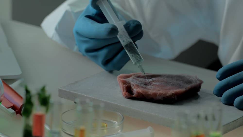 Laboratorio del Futuro Autorizacion de la FDA para carne sintetica