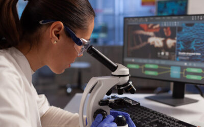 Buscar la vida eterna: las fórmulas más insólitas y las verdades de la ciencia